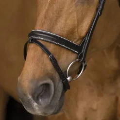 Bridon rock - Norton