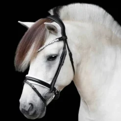 Bridon Romanov - SD Design