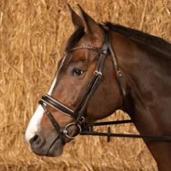 Bridon Rosegold Royal - Harry's Horse