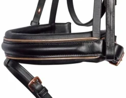 Bridon Rosegold Wide - Harry's Horse