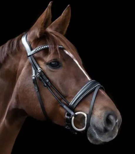 Bridon S-Line Glamour Waldhausen