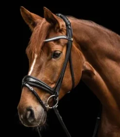 Bridon S-Line Magic Waldhausen