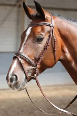 Bridon Soft - HARRY'S HORSE - Muserolle pull-back