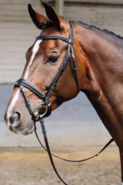 Bridon Soft - HARRY'S HORSE - Muserolle pull-back