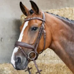 Bridon Soft Bombastic Crystals - HARRY'S HORSE