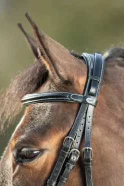 Bridon Technical HFI