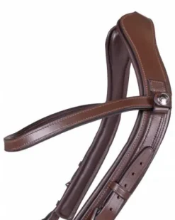 Bridon technique Faysport Presteq