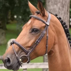 Bridon Thursday muserolle combinée - Collection Week - Jump in