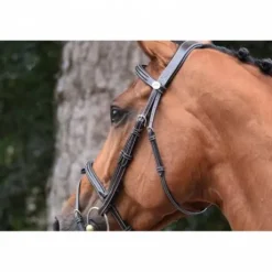 Bridon Thursday muserolle combinée - Collection Week - Jump in