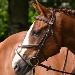 Bridon Tuesday muserolle croisée - Collection Week - Jump in