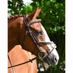 Bridon Tuesday muserolle croisée - Collection Week - Jump in