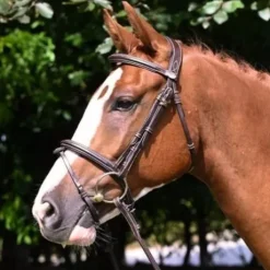 Bridon Tuesday muserolle combinée - Collection Week - Jump in