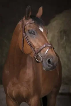 Bridon vague - Norton