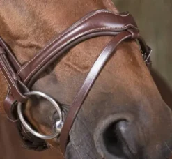 Bridon vague - Norton