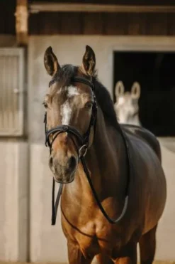 Bridon Work - Eric Thomas