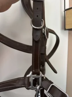 Bridon/Licol Norton Trekking