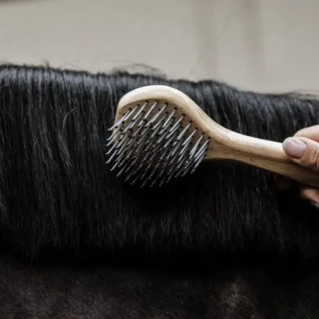 Brosse à crin - Grooming Deluxe