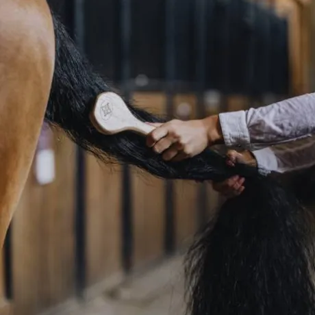 Brosse à crin - Grooming Deluxe