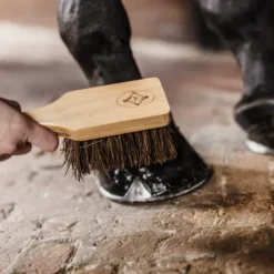 Brosse à sabot - Kentucky