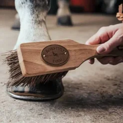 Brosse à sabots Islandaise - BORSTIQ FARM