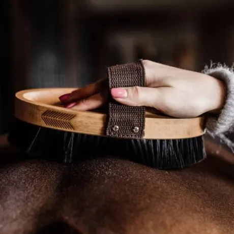 Brosse douce à poils durs - Kentucky