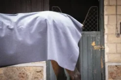 Carré Wooltouch Paddock Sport (2 coloris)