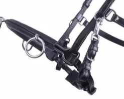 Caveçon en cuir QHP