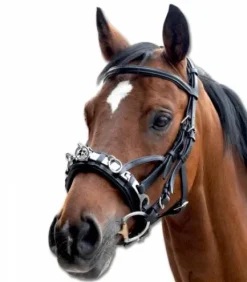 Caveçon en Cuir Waldhausen