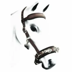 Caveçon en nylon rembourrage en néoprène Acavallo