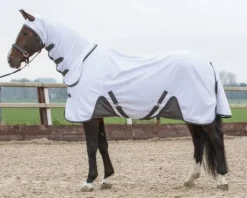 Chemise anti-mouches Harry's Horse