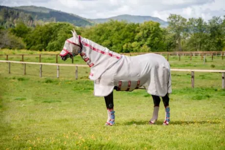 Chemise anti-mouches Protector Disc Front - Rambo - Protection UV