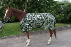 Chemise anti-mouches zébré JMR shetland