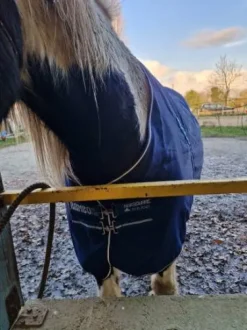 Chemise de box Horseware Rambo