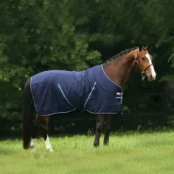 Chemise de box Rambo - Horseware