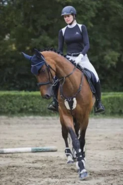 Chemise de concours à manches longues BLACK JACK - Cavalliera - Coton technique