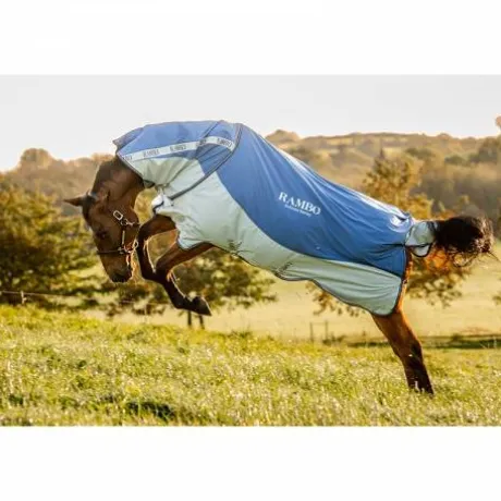 Chemise d'extÉrieur rambo autumn series - Horseware