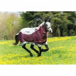 Chemise d'extérieur Rambo Summer Series - Horseware