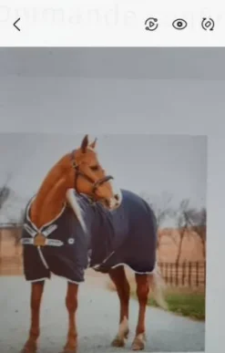 Chemise Horseware Hélix disc neuve