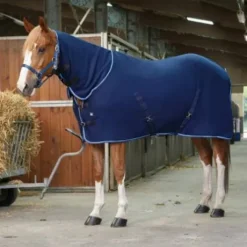 Chemise polaire Combo Riding World