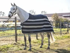 Chemise polaire Steven Equiline