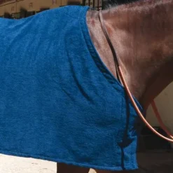 Chemise éponge séchante - Petitpas