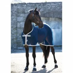 Chemise Séchante Amigo Net Cooler  - Horseware