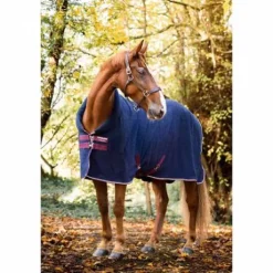 Chemise séchante Rambo EMBROSSED Cosy - HORSEWARE
