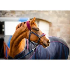 Chemise Séchante Rambo Sport Cooler - Horseware