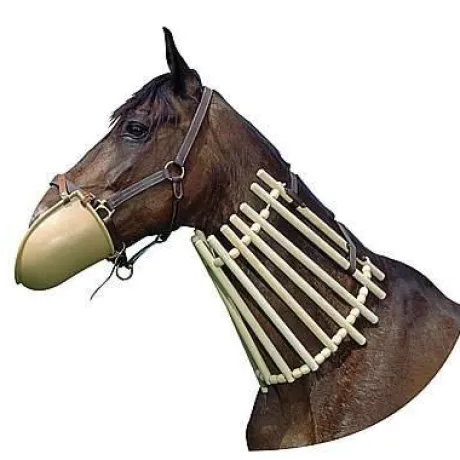 Collier de bois pour chevaux en convalescence