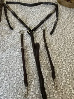 Collier de chasse CWD