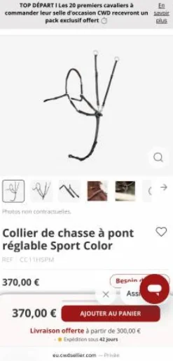 Collier de chasse CWD