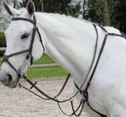 Collier de chasse Fancy Richtan Treadstone