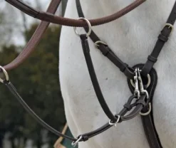 Collier de chasse Fancy Richtan Treadstone