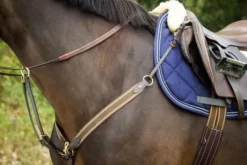 Collier de chasse élastique avec martingale noir / marine HFI